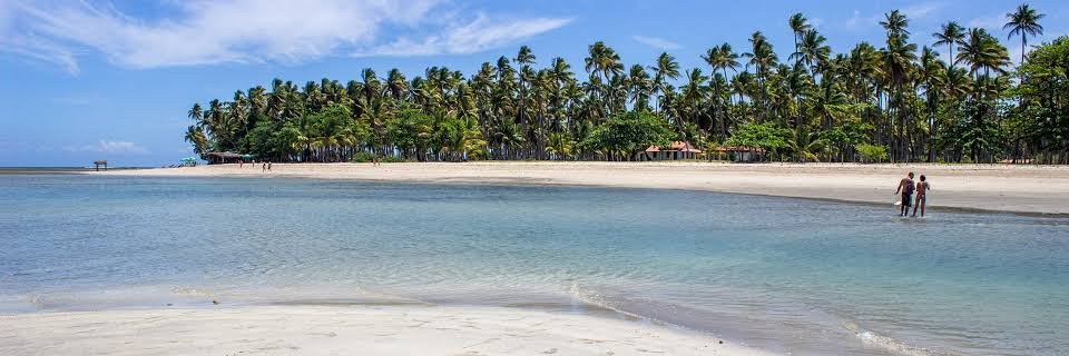 Praia de ilha baiana com coqueiros